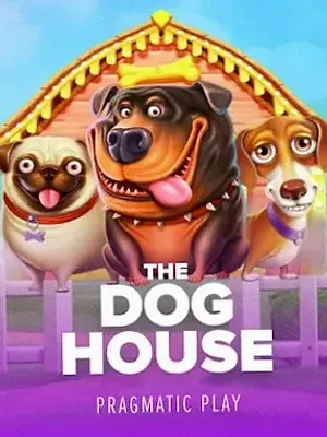 The Dog House at Amon